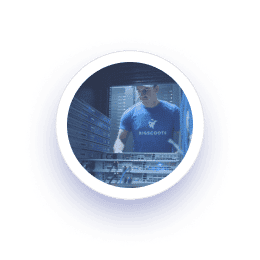 We Own Everything Graphic