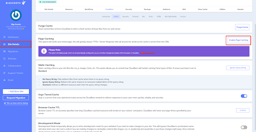 BigScoots WPO Portal WordPress Caching Plugin Screen