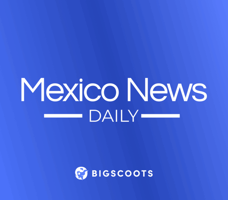 mexico news daily case study cover image